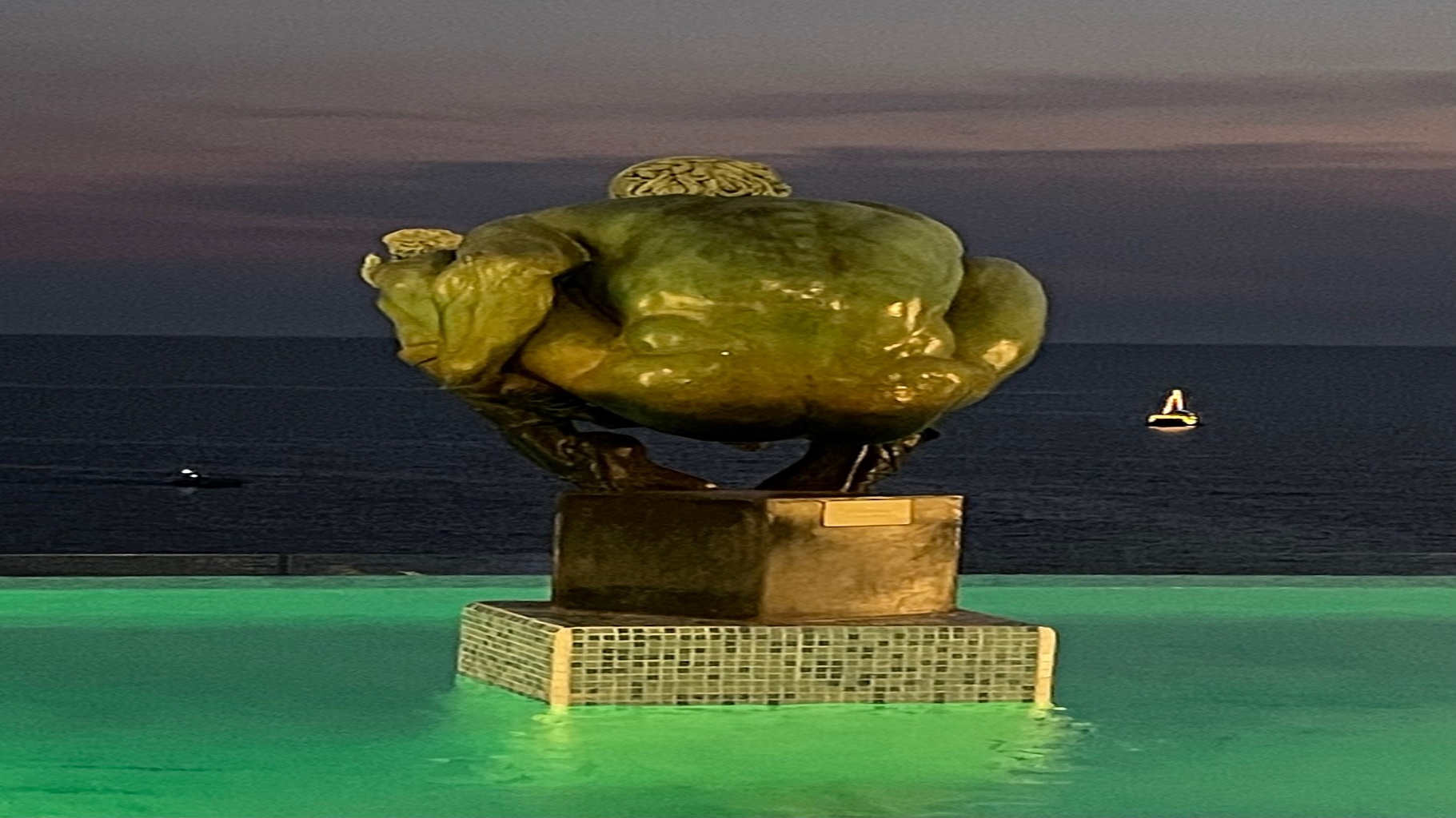 Image 20